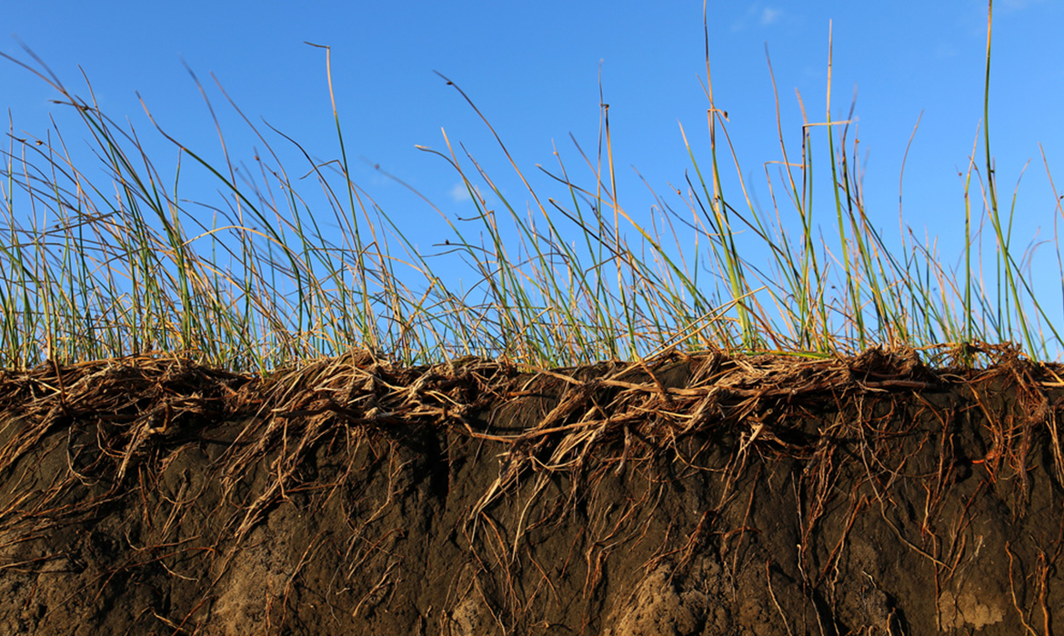 What is soil erosion and how can turf help prevent it?
